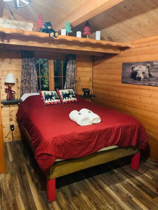 Honeybear Hideaway Cabin Hayward Exteriér fotografie