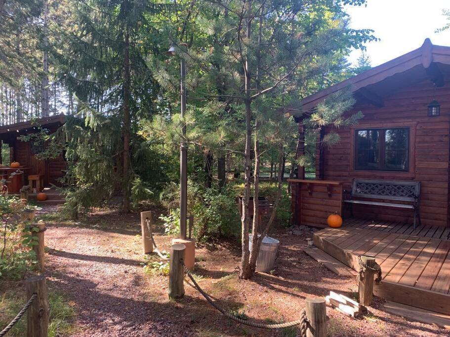 Honeybear Hideaway Cabin Hayward Exteriér fotografie