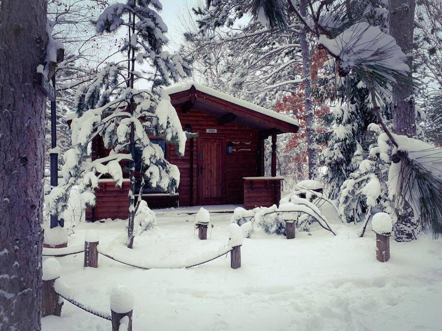 Honeybear Hideaway Cabin Hayward Exteriér fotografie