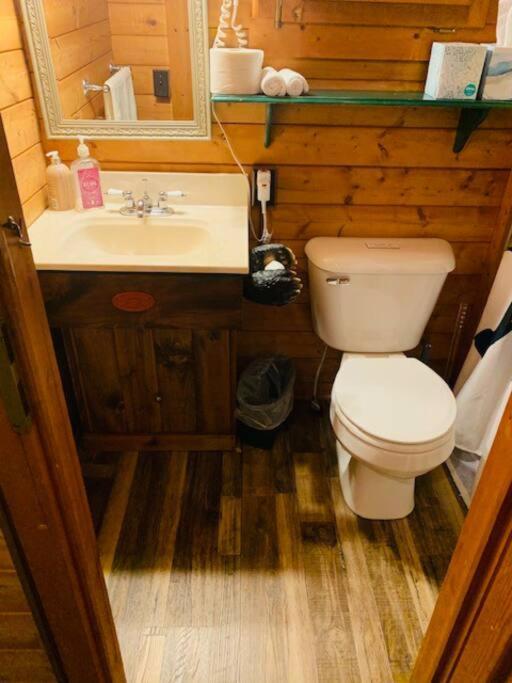 Honeybear Hideaway Cabin Hayward Exteriér fotografie