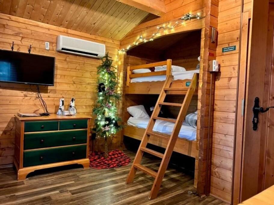 Honeybear Hideaway Cabin Hayward Exteriér fotografie